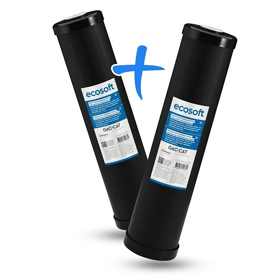 Картридж для видалення сірководню Ecosoft 4,5"х20"(20ВВ) (2шт) Картридж для видалення сірководню Ecosoft 4,5"х20"(20ВВ) (2шт)