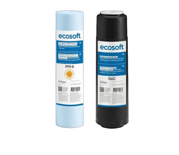 Комплект картриджів Ecosoft RObust 4000 (CPV25105BECO+CHV2510ECO) Комплект картриджів Ecosoft RObust 4000 (CPV25105BECO+CHV2510ECO)