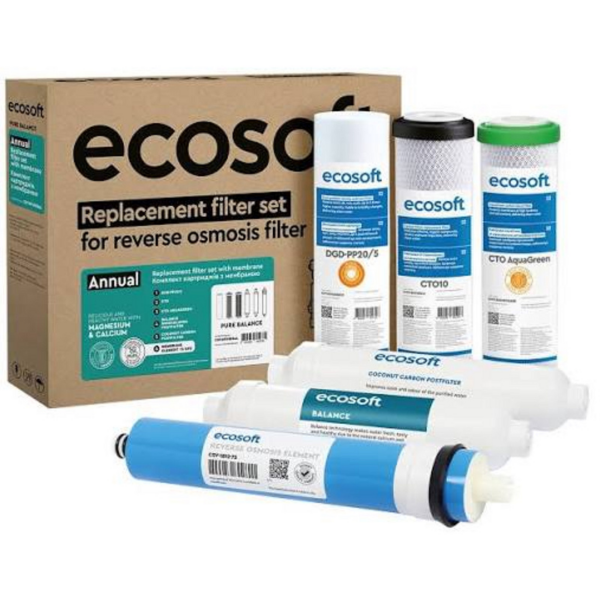 Комплект картриджів Ecosoft PURE Balance "12 місяців" (CHV6PUREBAL)