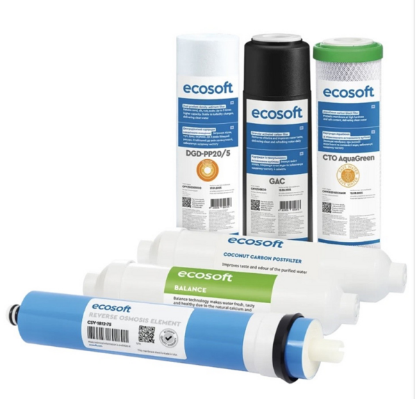 Комплект картриджів Ecosoft PURE Balance "12 місяців" (CHV6PUREBAL)