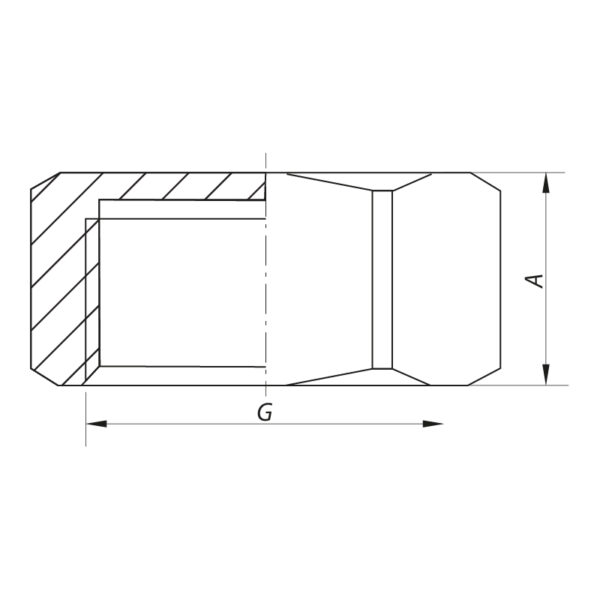 Заглушка 1/2" В Koer KF.P06F Заглушка 1/2" В Koer KF.P06F