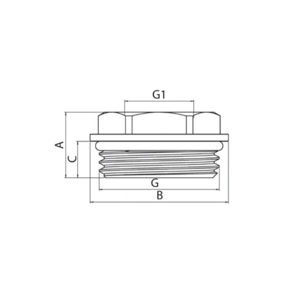 Футорка з ущільнювальним кільцем Koer KF.F0810-R - 1"x3/4" Футорка з ущільнювальним кільцем Koer KF.F0810-R - 1"x3/4"