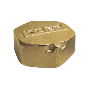Заглушка Koer KF.P10F.WN - 1'' (без нікелю) Заглушка Koer KF.P10F.WN - 1'' (без нікелю)