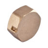 Заглушка Koer KF.P08F.WN - 3/4'' F без нікелю Заглушка Koer KF.P08F.WN - 3/4'' F без нікелю