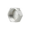 Заглушка Thermo Alliance Forte 1" ВР SF35225 Заглушка Thermo Alliance Forte 1" ВР SF35225