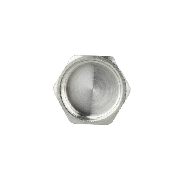 Заглушка Thermo Alliance Forte 1/2" ВР SF35215 Заглушка Thermo Alliance Forte 1/2" ВР SF35215