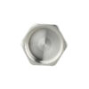 Заглушка Thermo Alliance Forte 3/4" ВР SF35220 Заглушка Thermo Alliance Forte 3/4" ВР SF35220