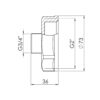 Перехід Thermo Alliance Forte 2"х3/4" ВЗ SF3605020