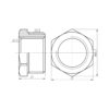 Футорка Thermo Alliance Forte 3/4"х1/2" ЗВ хром SF374H2015 Футорка Thermo Alliance Forte 3/4"х1/2" ЗВ хром SF374H2015