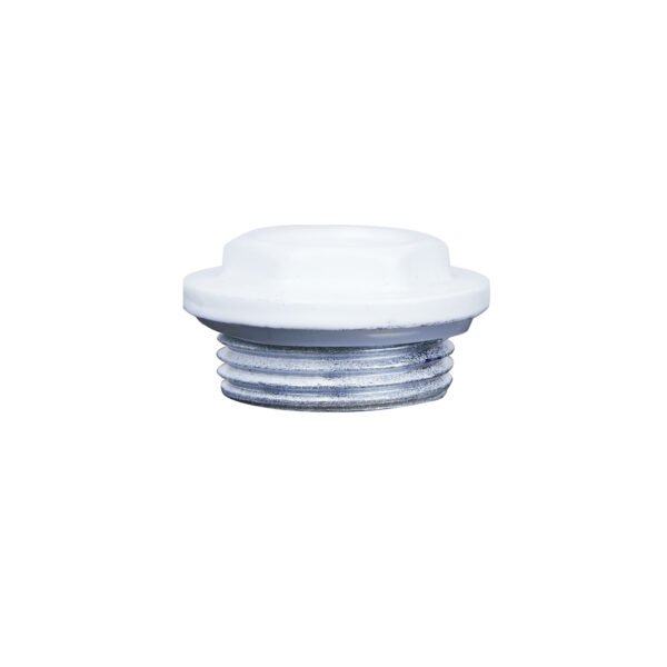 Заглушка радіаторна Thermo Alliance Standart 1" права SD11725D Заглушка радіаторна Thermo Alliance Standart 1" права SD11725D