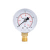 Манометр Thermo Alliance Standart 50 мм 1/4", нижнє підмикання SD1704B