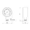 Манометр Thermo Alliance Standart 50 мм 1/4", нижнє підмикання SD1704B
