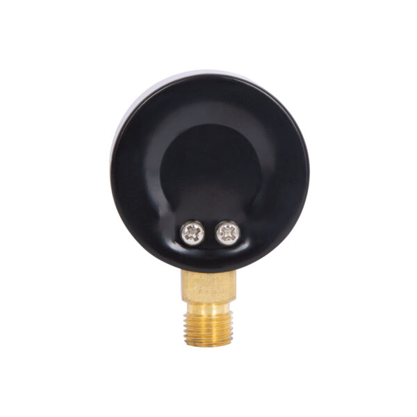 Манометр Thermo Alliance Standart 50 мм 1/4", нижнє підмикання SD1704B