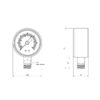 Манометр Thermo Alliance Standart 50 мм 1/4", нижнє підмикання SD1706B