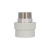 Муфта PPR Blue Ocean 63х2" ЗР Муфта PPR Blue Ocean 63х2" ЗР