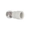 Муфта PPR з накидною гайкою Blue Ocean 20х1/2" ВР з латунним штоком