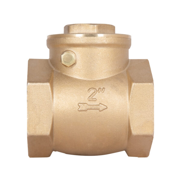 Зворотний клапан Thermo Alliance Standart 2" SD242W50 Зворотний клапан Thermo Alliance Standart 2" SD242W50