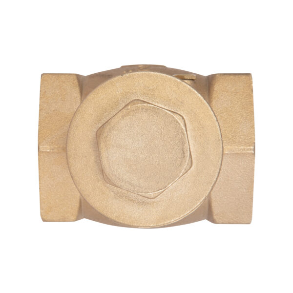 Зворотний клапан Thermo Alliance Standart 2" SD242W50 Зворотний клапан Thermo Alliance Standart 2" SD242W50