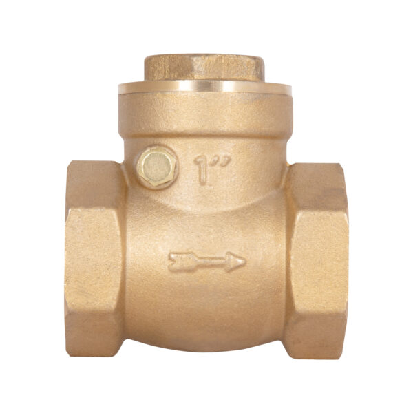 Зворотний клапан Thermo Alliance Standart 1" SD242W25 Зворотний клапан Thermo Alliance Standart 1" SD242W25