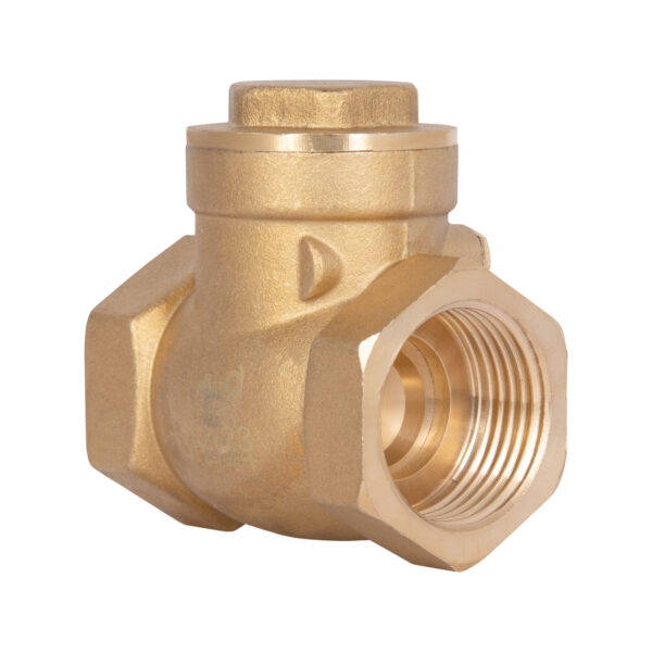 Зворотний клапан Thermo Alliance Standart 1" SD242W25 Зворотний клапан Thermo Alliance Standart 1" SD242W25