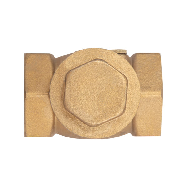 Зворотний клапан Thermo Alliance Standart 1" SD242W25 Зворотний клапан Thermo Alliance Standart 1" SD242W25