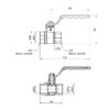 Кран шаровой Thermo Alliance Standart 1/2" ВР для воды (весы) SD600NW15PN40 Кран кульовий Thermo Alliance Standart 1/2" ВР для води (важіль) SD600NW15PN40
