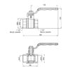 Кран шаровой Thermo Alliance Standart 1" 1/2 ВР для воды (весы) SD600NW40PN40 Кран кульовий Thermo Alliance Standart 1" 1/2 ВР для води (важіль) SD600NW40PN40