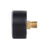 Манометр Thermo Alliance Standart 6 бар 1/4" , заднє підмикання SD1716B Манометр Thermo Alliance Standart 6 бар 1/4" , заднє підмикання SD1716B