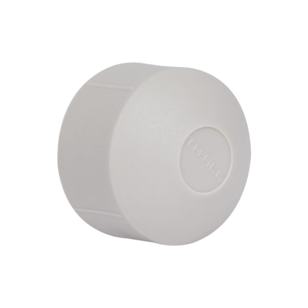 Заглушка PPR Thermo Alliance 32