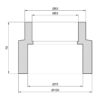 Муфта PPR Thermo Alliance 75х63 Муфта PPR Thermo Alliance 75х63