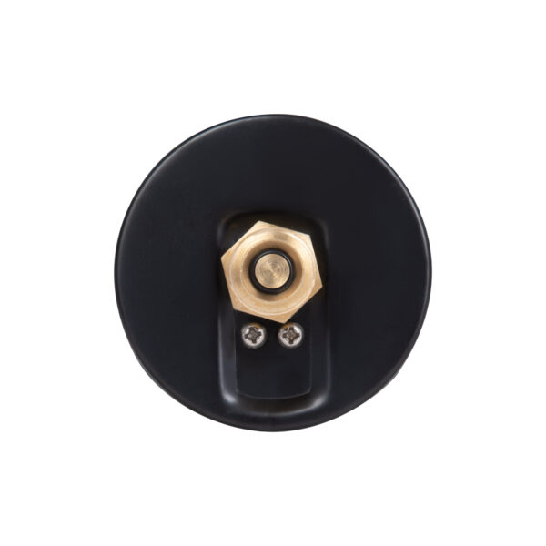 Термоманометр Thermo Alliance Standart 80 мм 1/2", заднє підключення SD17310B Термоманометр Thermo Alliance Standart 80 мм 1/2", заднє підключення SD17310B