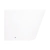Біде підлогове Qtap Swan 560х360х410 White QT15443378W Біде підлогове Qtap Swan 560х360х410 White QT15443378W
