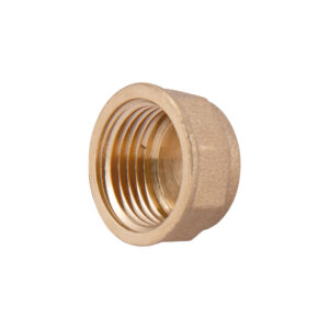 Заглушка Thermo Alliance Standart 1/2" ВР SD40215 Заглушка Thermo Alliance Standart 1/2" ВР SD40215