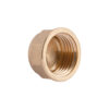 Заглушка Thermo Alliance Standart 1/2" ВР SD40215 Заглушка Thermo Alliance Standart 1/2" ВР SD40215
