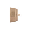 Заглушка Thermo Alliance Standart 1/2" ВР SD40215 Заглушка Thermo Alliance Standart 1/2" ВР SD40215