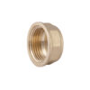 Заглушка Thermo Alliance Standart 3/4" ВР SD40220 Заглушка Thermo Alliance Standart 3/4" ВР SD40220
