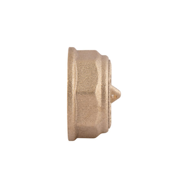 Заглушка Thermo Alliance Standart 3/4" ВР SD40220 Заглушка Thermo Alliance Standart 3/4" ВР SD40220