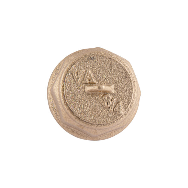 Заглушка Thermo Alliance Standart 3/4" ВР SD40220 Заглушка Thermo Alliance Standart 3/4" ВР SD40220