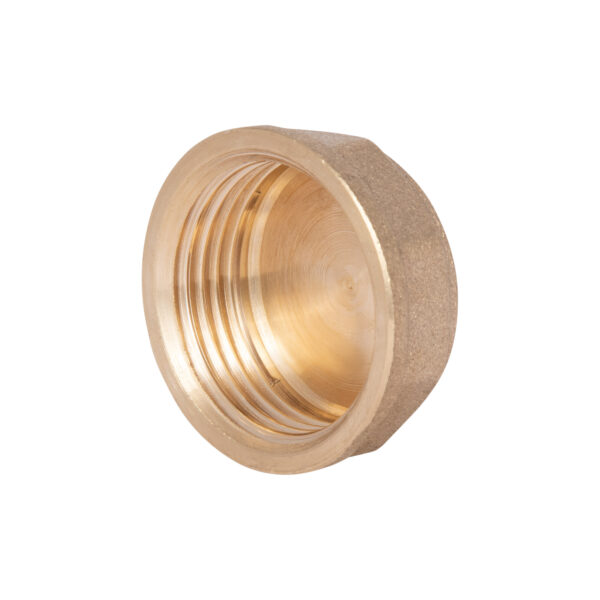 Заглушка Thermo Alliance Standart 1" ВР SD40225 Заглушка Thermo Alliance Standart 1" ВР SD40225