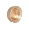 Заглушка Thermo Alliance Standart 1" ВР SD40225 Заглушка Thermo Alliance Standart 1" ВР SD40225