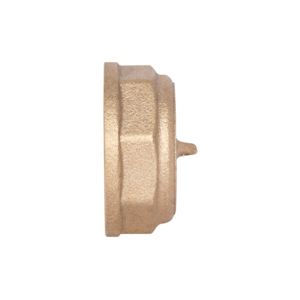 Заглушка Thermo Alliance Standart 1" ВР SD40225 Заглушка Thermo Alliance Standart 1" ВР SD40225