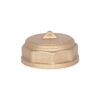 Заглушка Thermo Alliance Standart 1" ВР SD40225 Заглушка Thermo Alliance Standart 1" ВР SD40225