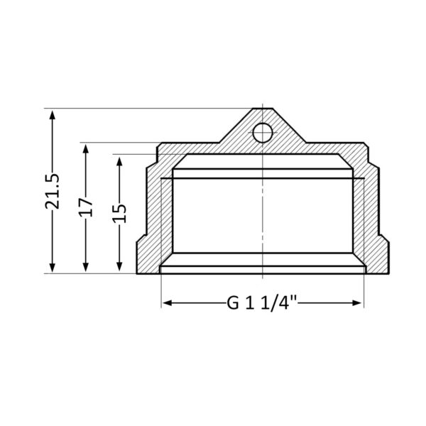 Заглушка Thermo Alliance Standart 1 1/4" ВР SD40232 Заглушка Thermo Alliance Standart 1 1/4" ВР SD40232
