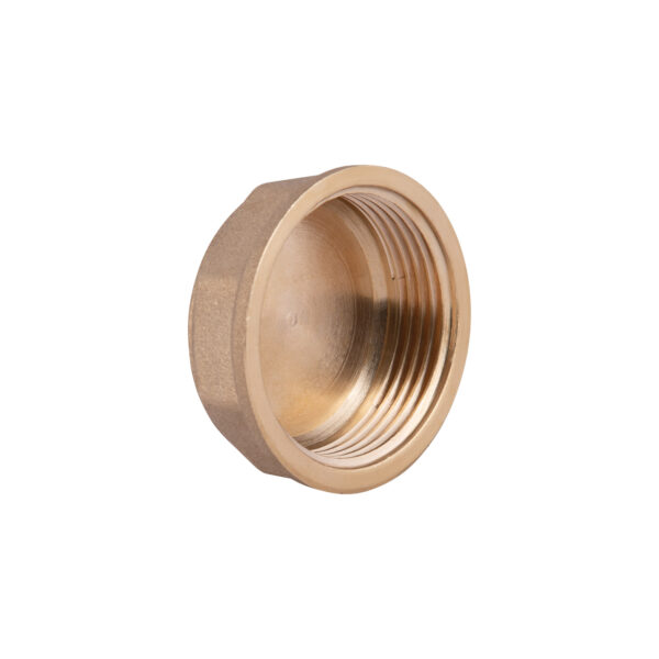 Заглушка Thermo Alliance Standart 1 1/4" ВР SD40232 Заглушка Thermo Alliance Standart 1 1/4" ВР SD40232