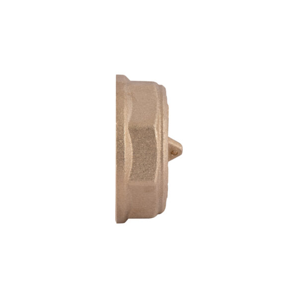 Заглушка Thermo Alliance Standart 1 1/4" ВР SD40232 Заглушка Thermo Alliance Standart 1 1/4" ВР SD40232