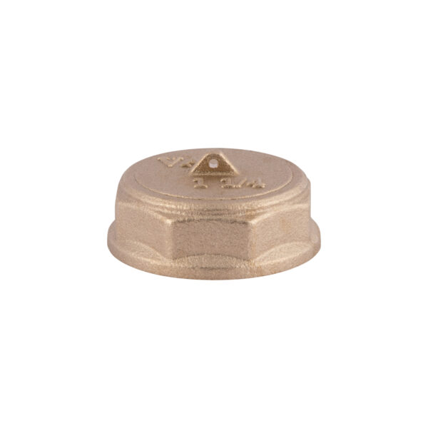 Заглушка Thermo Alliance Standart 1 1/4" ВР SD40232 Заглушка Thermo Alliance Standart 1 1/4" ВР SD40232