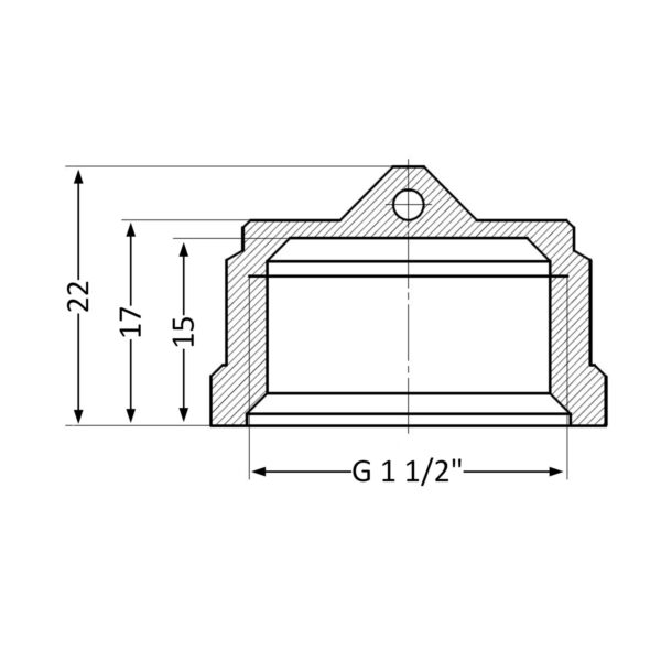 Заглушка Thermo Alliance Standart 1 1/2" ВР SD40240