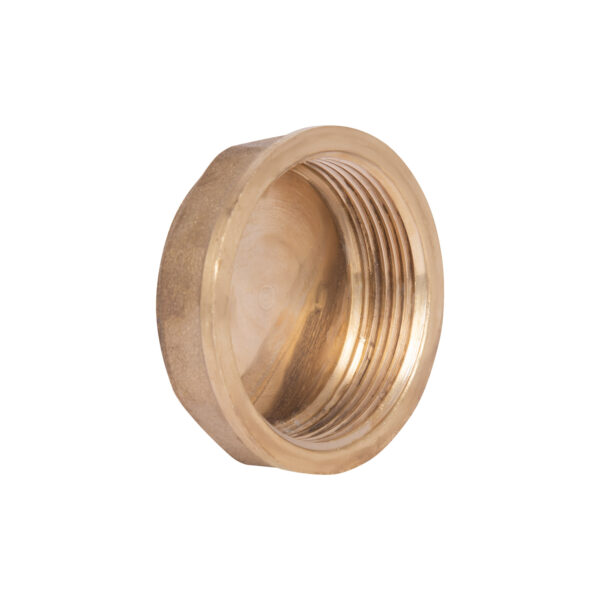Заглушка Thermo Alliance Standart 1 1/2" ВР SD40240