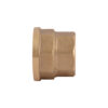 Муфта Thermo Alliance Standart 3/4"х1" ВР SD4052025 Муфта Thermo Alliance Standart 3/4"х1" ВР SD4052025