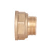 Переходник Thermo Alliance Standart 1"х3/4" ВЗ SD4092520 Перехідник Thermo Alliance Standart 1"х3/4" ВЗ SD4092520